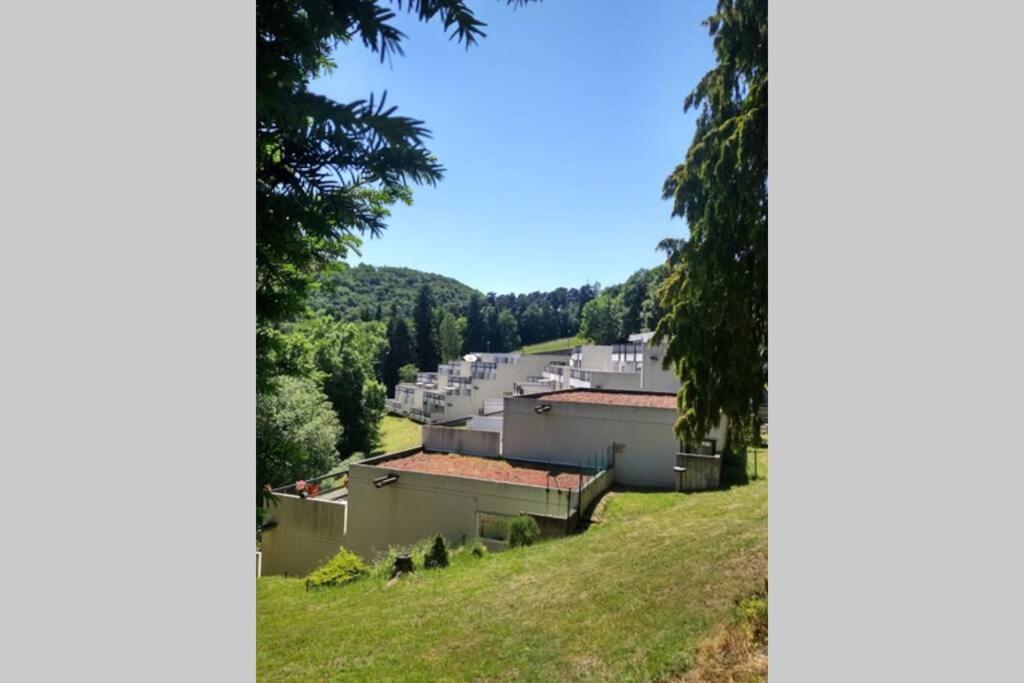 Studio Au Coeur Des Volcans D Auvergne - Murol Bagian luar foto