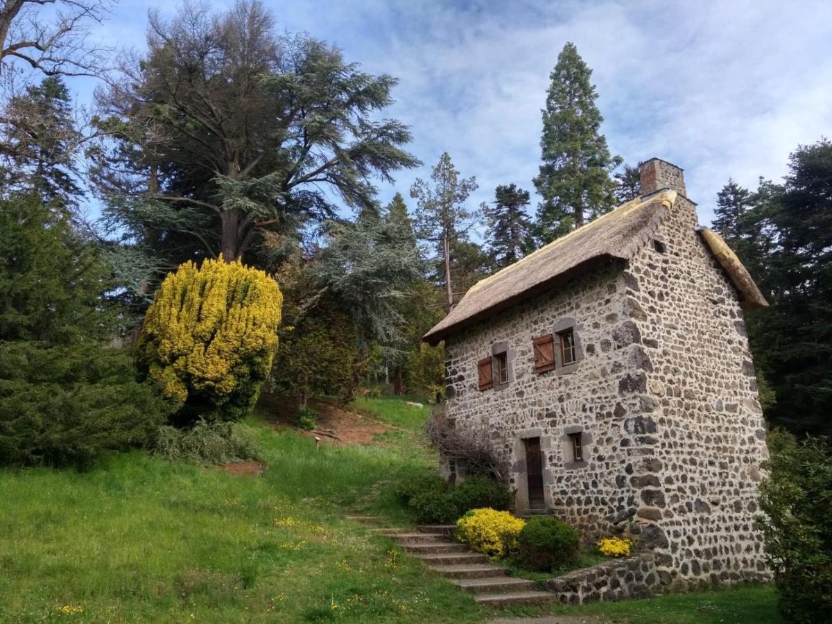 Studio Au Coeur Des Volcans D Auvergne - Murol Bagian luar foto